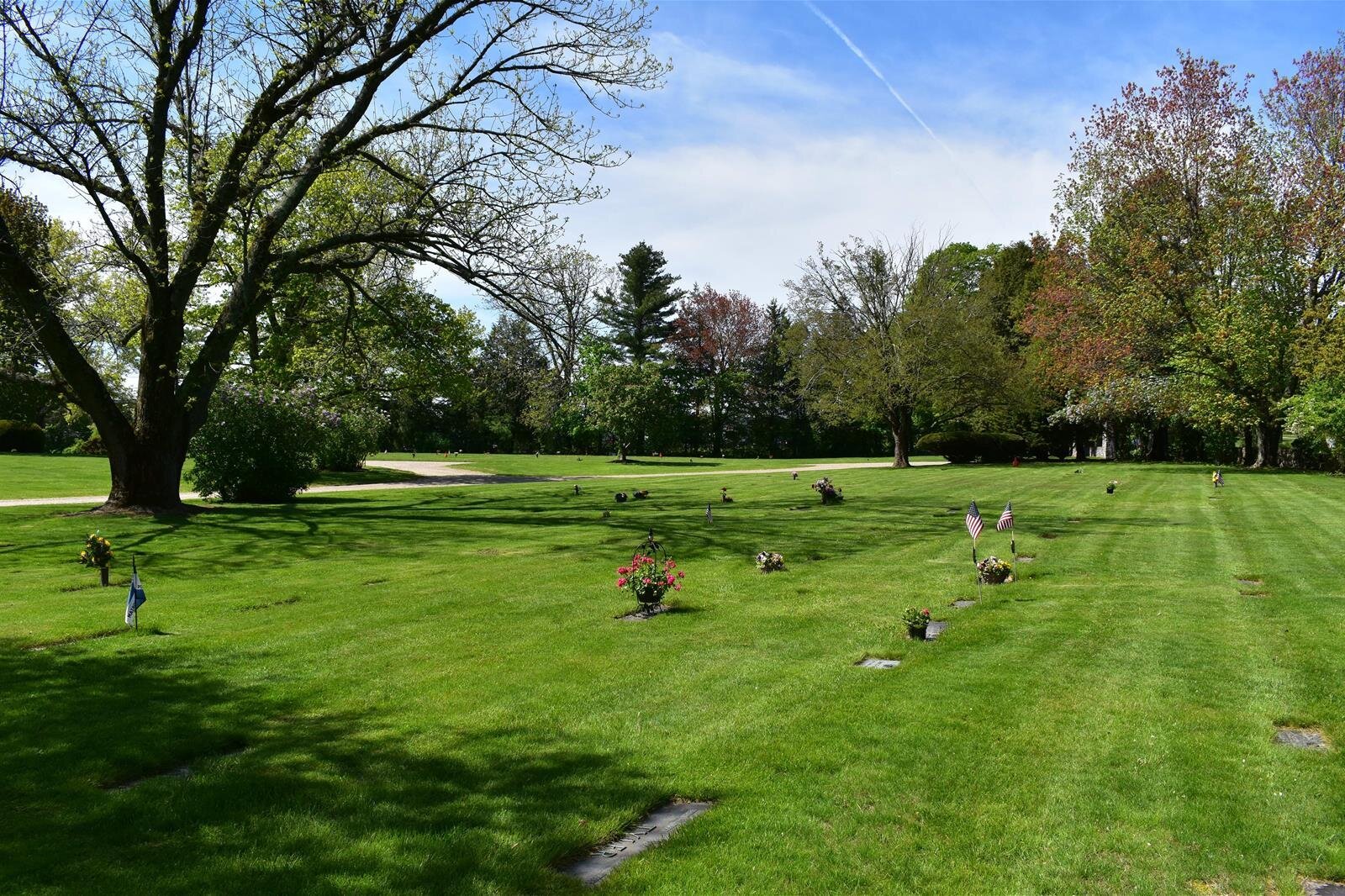 Brooklawn map background